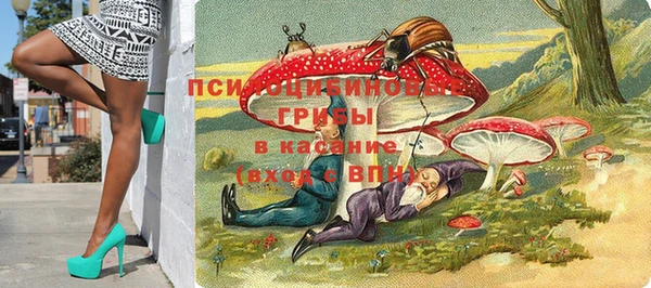 jwh Бородино
