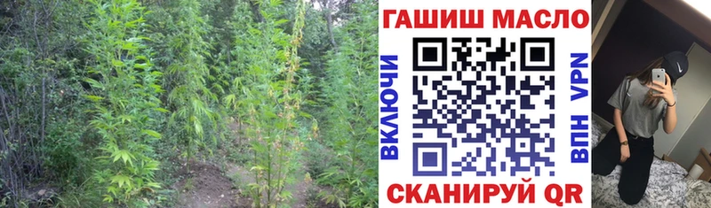 ТГК Wax  продажа наркотиков  Полесск 