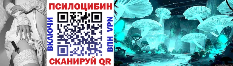 где купить   Полесск  Псилоцибиновые грибы Cubensis 